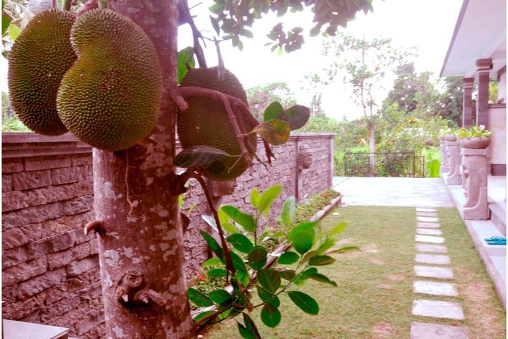 The Lod Villa Ubud Exterior foto